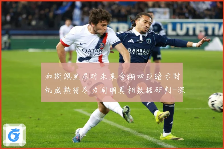 加斯佩里尼对未来含糊回应暗示时机成熟将尽力阐明真相数据研判-深度解析